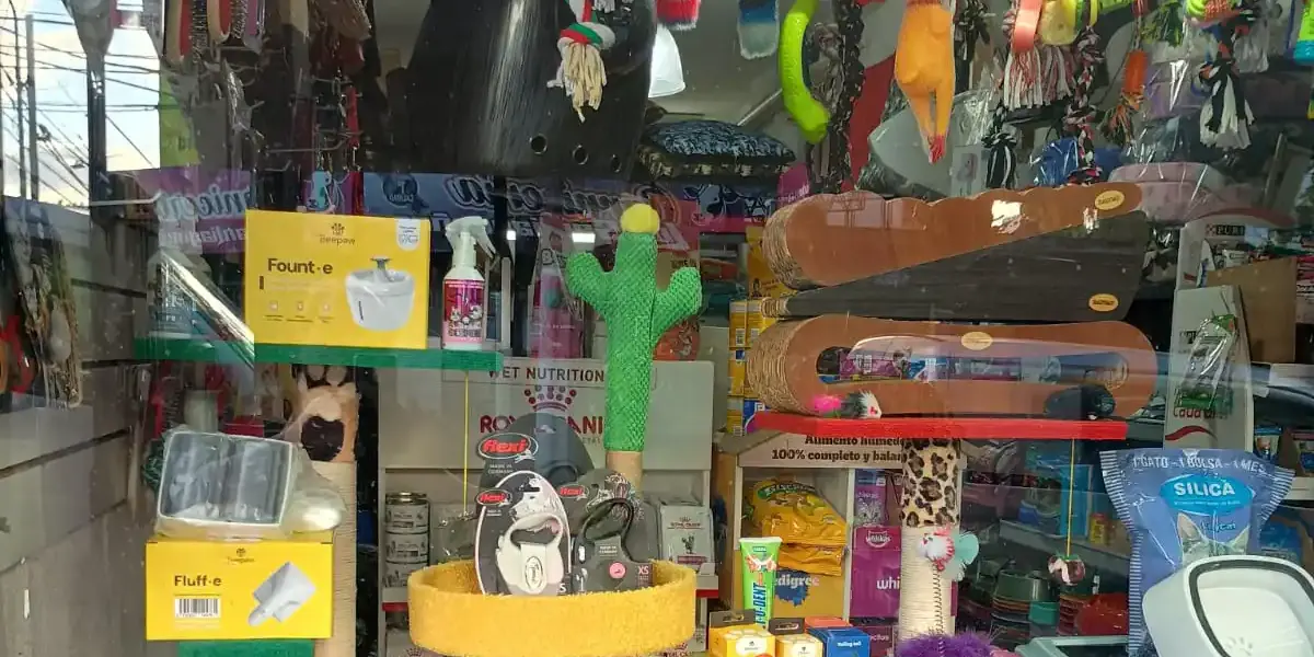 Cuidá a tu mascota